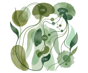 Endokanabinoidni sistem